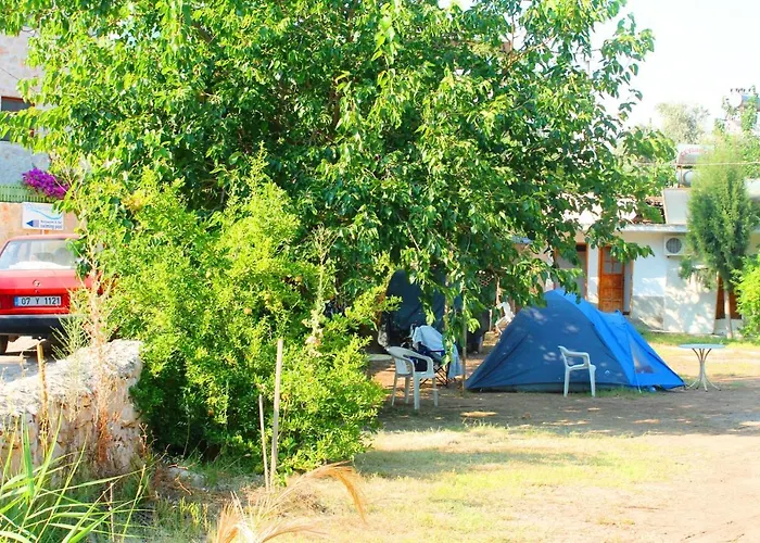 Medusa Camping