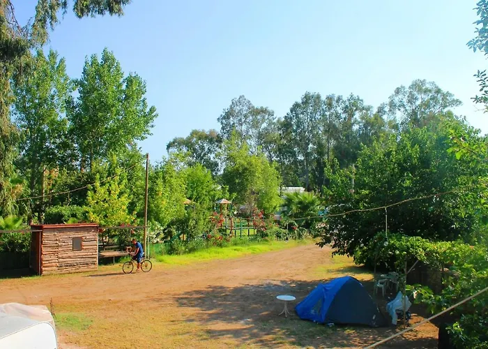 Medusa Camping